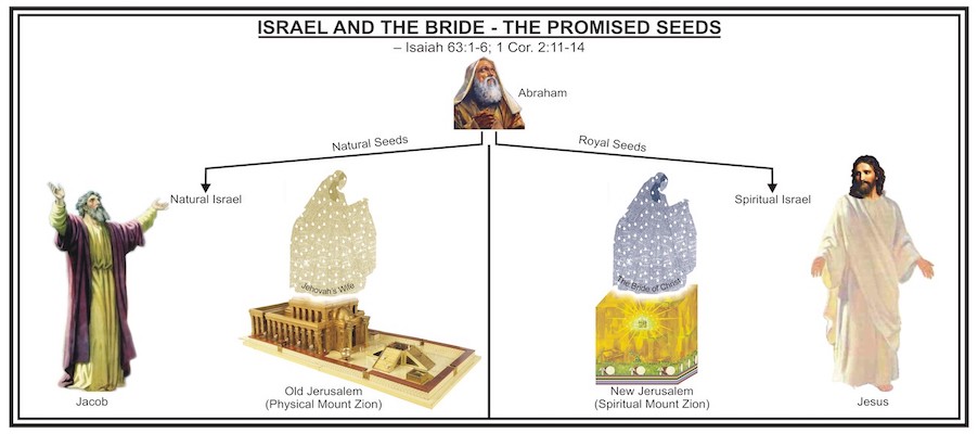 ISRAEL AND THE BRIDE - THE PROMISED SEEDS
